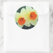 Gele en Oranje narcissen Ronde Sticker (Tas)