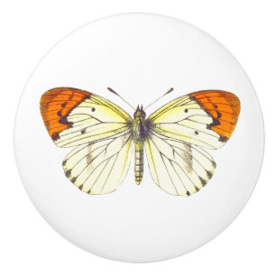 Gele en Oranje vlinder Keramische Knop