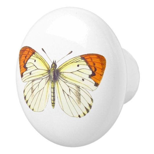 Gele en Oranje vlinder Keramische Knop (Rechts)