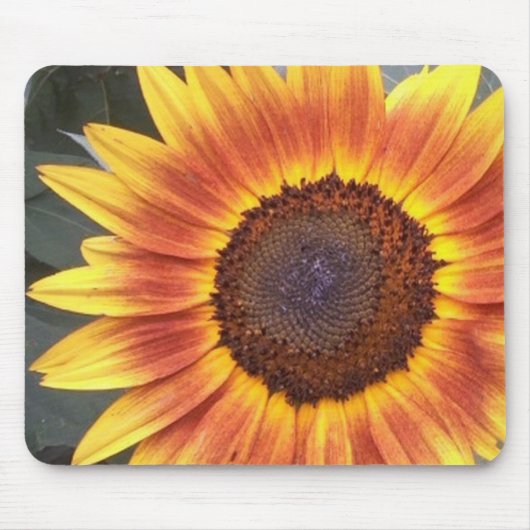 Gele en oranje zonnebloem muismat (Voorkant)