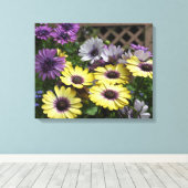 Gele en Paarse Afrikaanse Daisies Canvas Afdruk (Insitu (Houten vloer))