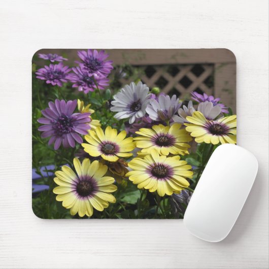 Gele en Paarse Afrikaanse Daisies Muismat (Met muis)