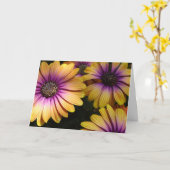 Gele en Paarse Afrikaanse madeliefjes Kaart (Gele Bloem)
