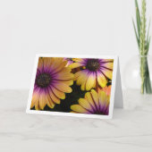 Gele en Paarse Afrikaanse madeliefjes Kaart (Voorkant)