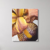 Gele en paarse baardiris bloemstuk canvas afdruk (Voorkant)