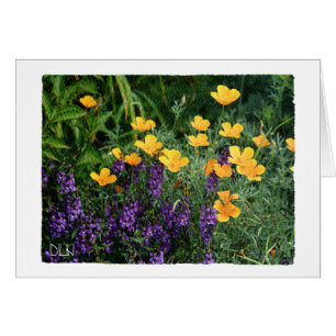 Gele en paarse bloemen / Bloem / Waterverf uitzich
