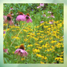 Gele en Paarse Bloemen in de Tuin