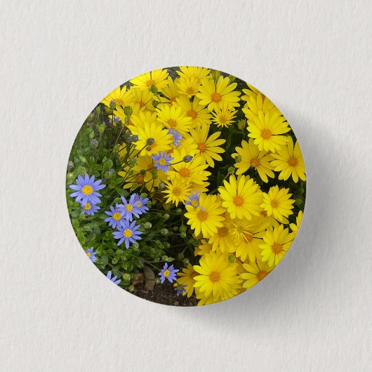 Gele en Paarse Daisies Button (Voorkant)
