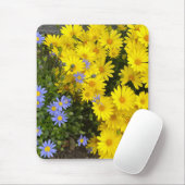 Gele en Paarse Daisies Muismat (Met muis)