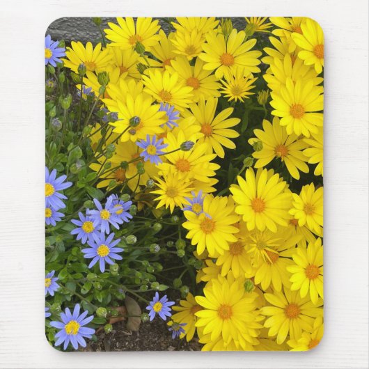 Gele en Paarse Daisies Muismat (Voorkant)