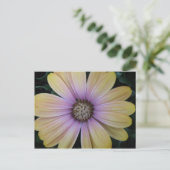 Gele en Paarse Daisy Flower Briefkaart (Staand voorkant)