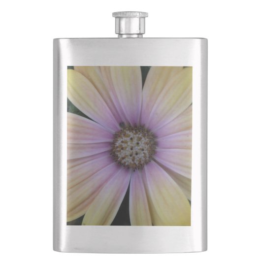 Gele en Paarse Daisy Flower Flacon (Voorkant)