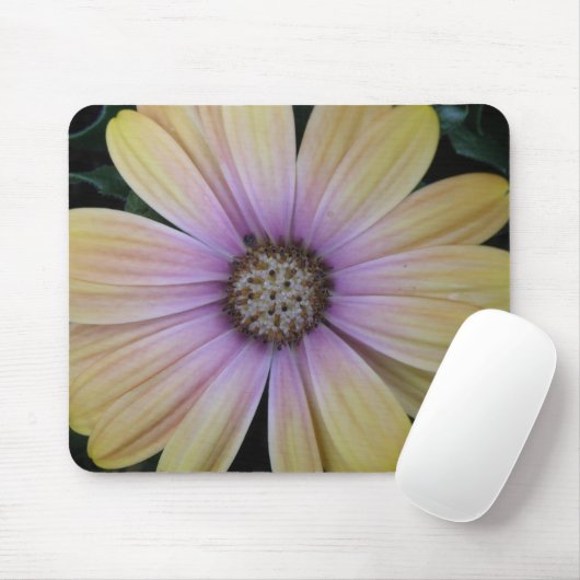 Gele en Paarse Daisy Flower Muismat (Met muis)