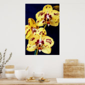 Gele en Paarse orchideeën Poster (Keuken)