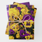 Gele en Paarse Pansies Inpakpapier Vel (In situ)