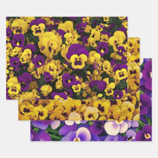 Gele en Paarse Pansies Inpakpapier Vel (Set)