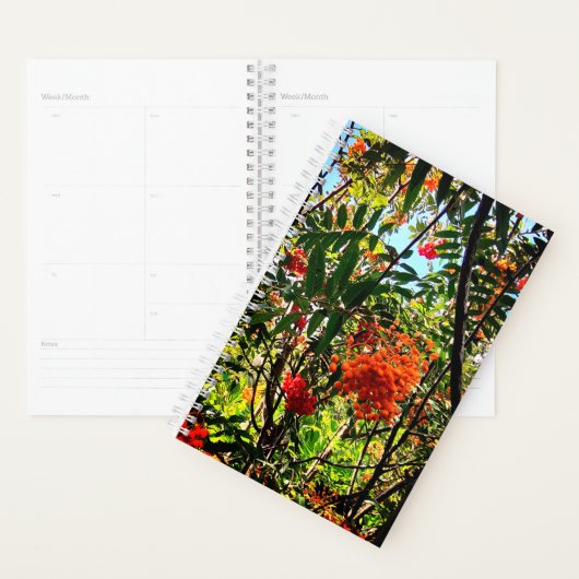 Gele en rode bessen planner (Display)