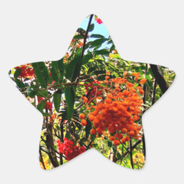 Gele en rode bessen ster sticker