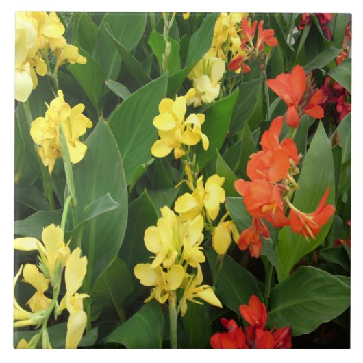 Gele en rode bloemen tegeltje (Voorkant)