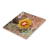 Gele en rode cactus bloem tegeltje (Zijkant)