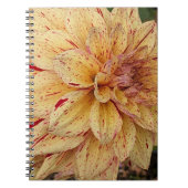 Gele en rode Dahlia bloemen Notitieboek (Voorkant)