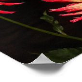 Gele en rode Dahlia Print (Hoek)