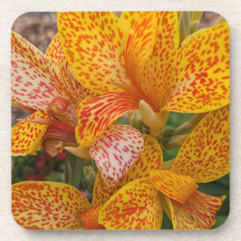 Gele en rode gespikkelde Canna Lily Floral Bier Onderzetter