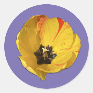 Gele en rode open tulp sticker