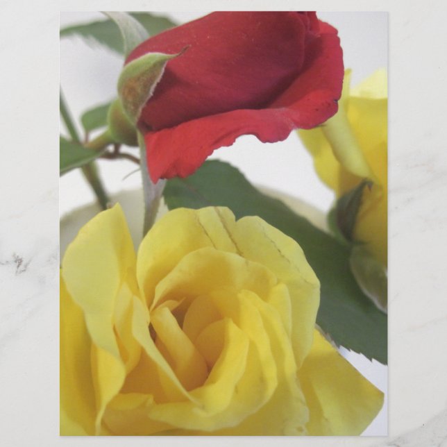 Gele en rode rozen (Voorkant)