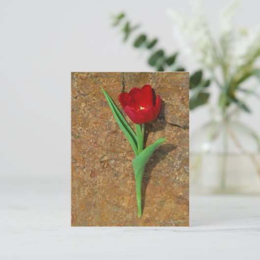 gele en rode tulp briefkaart (Staand voorkant)