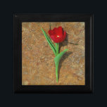 gele en rode tulp cadeaudoosje<br><div class="desc">Lentgeel en Rode Tulp, bruine rots bij het Arrowidenmeer. Foto van Sandy Closs. Pasen, bloemen, rode bloemen, Lente, valentijn, valentijnen, bruiloft, bruiloften, Valentijns</div>