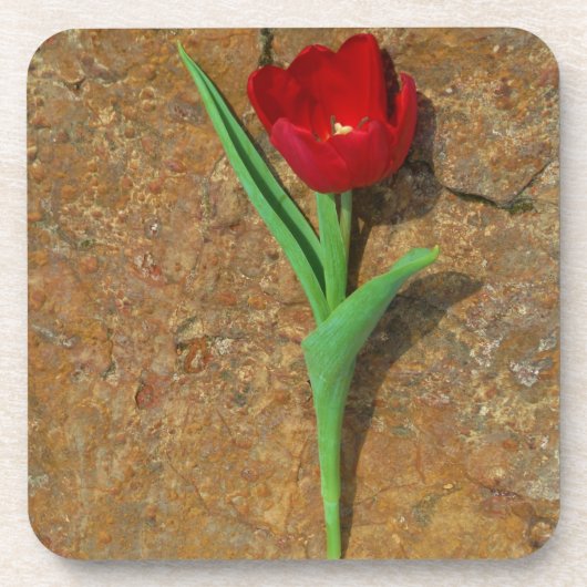 gele en rode tulp drankjes onderzetter (Voorkant)