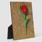 gele en rode tulp fotoplaat (Zijkant)