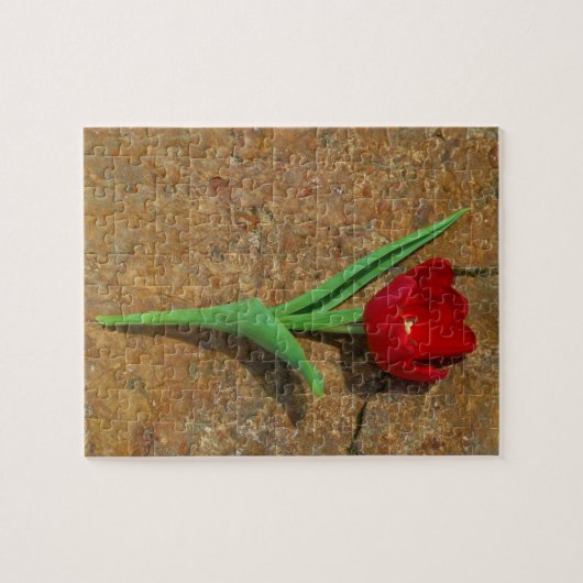 gele en rode tulp legpuzzel (Horizontaal)