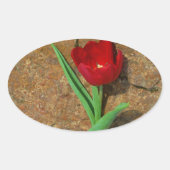 gele en rode tulp ovale sticker (Voorkant)