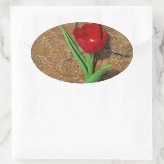 gele en rode tulp ovale sticker (Tas)