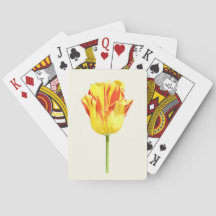 Gele en rode tulp