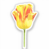 Gele en rode tulp sticker (Voorkant)