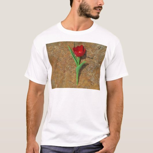 gele en rode tulp t-shirt (Voorkant)