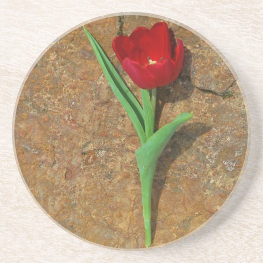 gele en rode tulp zandsteen onderzetter (Voorkant)