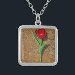 gele en rode tulp zilver vergulden ketting<br><div class="desc">Lentgeel en Rode Tulp,  bruine rots bij het Arrowidenmeer. Foto van Sandy Closs. Pasen,  bloemen,  rode bloemen,  Lente,  valentijn,  valentijnen,  bruiloft,  bruiloften,  Valentijns</div>