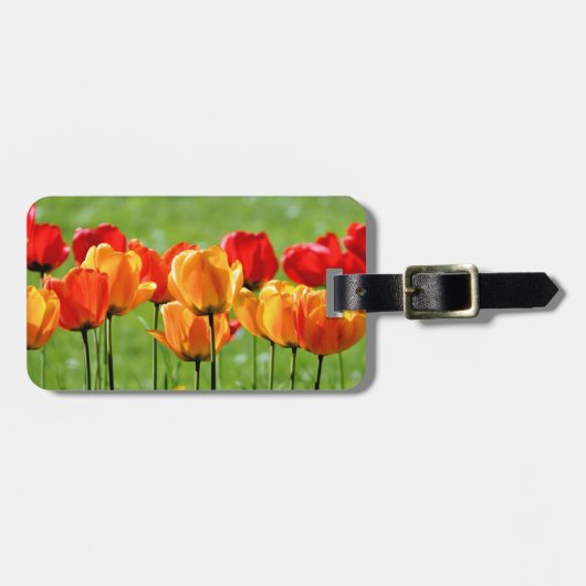 Gele en rode tulpen bagagelabel (Voorkant horizontaal)