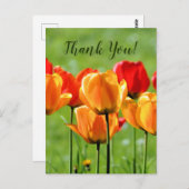 Gele en rode tulpen briefkaart (Voorkant / Achterkant)