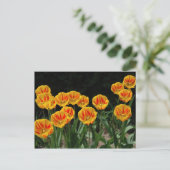 Gele en rode tulpen briefkaart (Staand voorkant)
