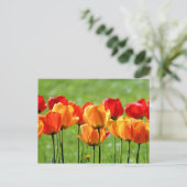 Gele en rode tulpen briefkaart (Staand voorkant)