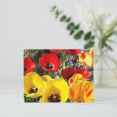 Gele en rode tulpen briefkaart (Staand voorkant)