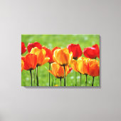 Gele en rode tulpen canvas afdruk (Voorkant)