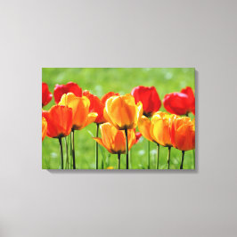 Gele en rode tulpen canvas afdruk