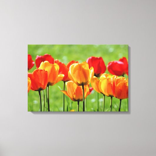 Gele en rode tulpen canvas afdruk (Voorkant)