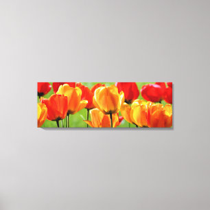 Gele En Rode Tulpen Canvas Afdruk